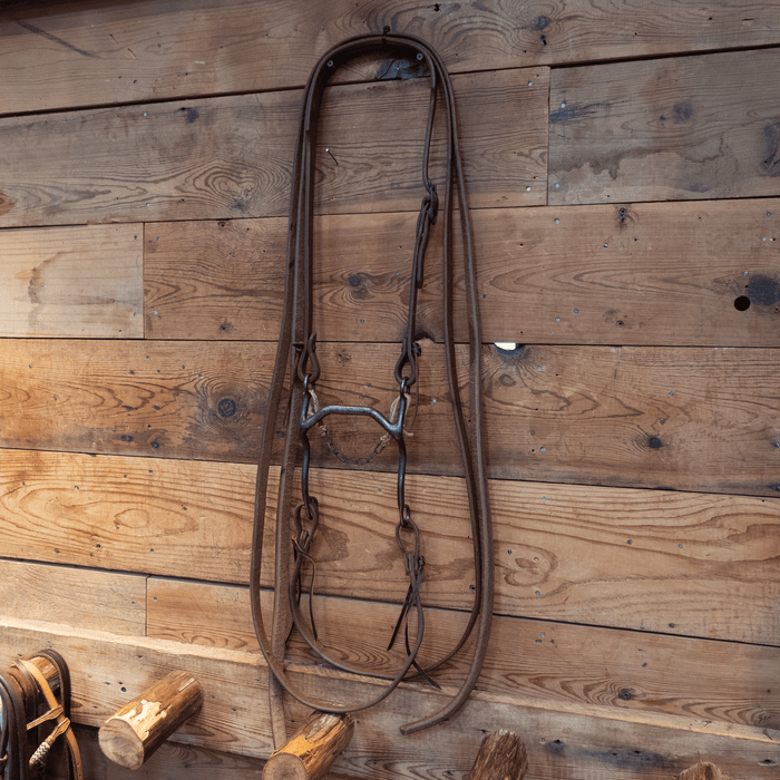 "CD" Low Port Bit Bridle Rig