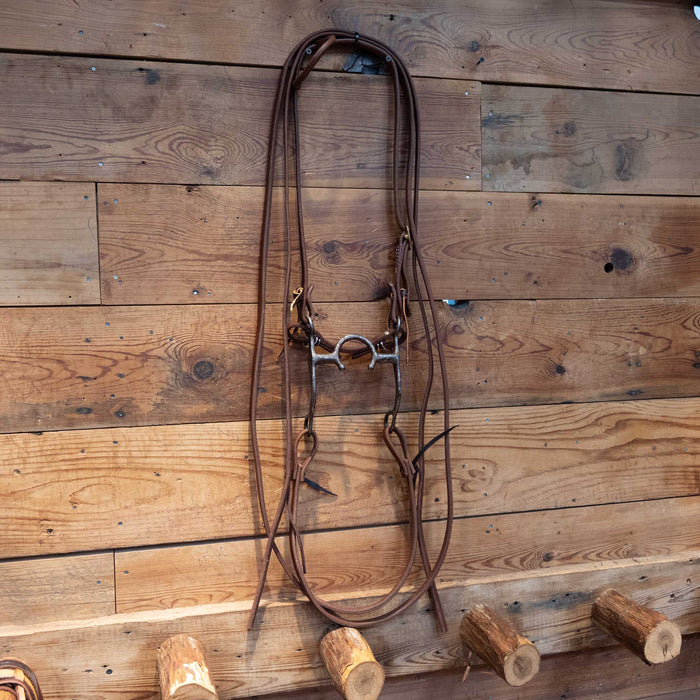 C-Port Bit Bridle Rig