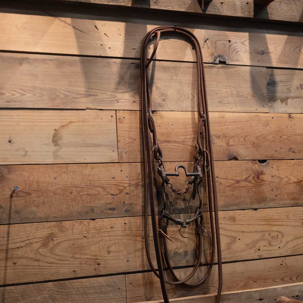 Bridle Rig with a Daryl Davis Solid Port Bit  RIG099 Tack - Rigs Daryl Davis   