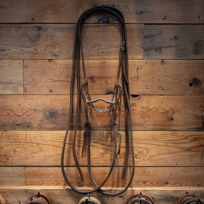 Kurtis Rudelbach Port Bridle Rig