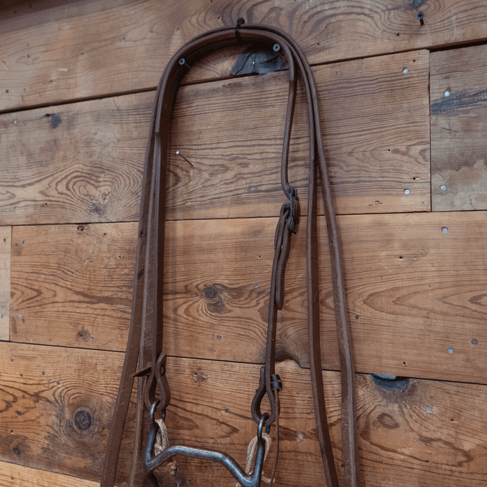 "CD" Low Port Bit Bridle Rig
