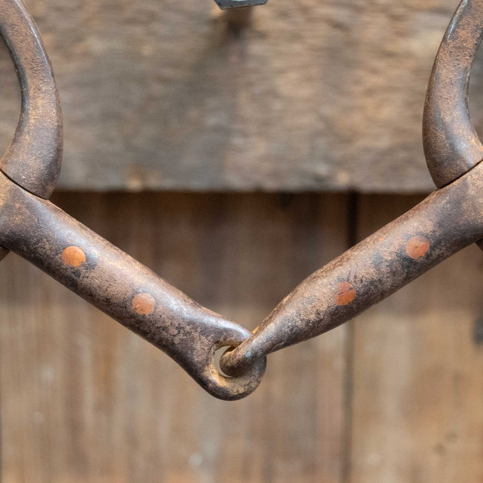 Abbott Locked O-Ring Snaffle Bit w/Copper Inlay