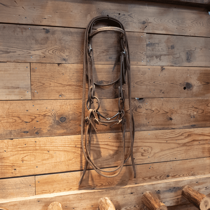 O-Ring Snaffle Bit Bridle Rig