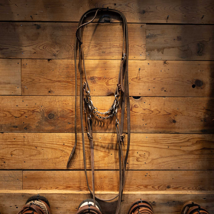 Circle Gag Chain Bridle Rig Tack - Rigs MISC