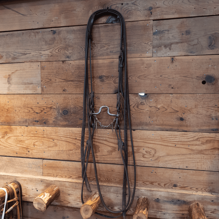 Hunt Square Port Bit Bridle Rig