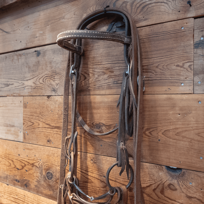 O-Ring Snaffle Bit Bridle Rig