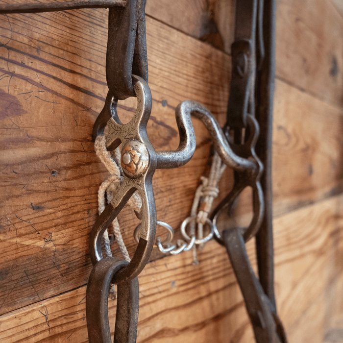 Hunt Square Port Bit Bridle Rig