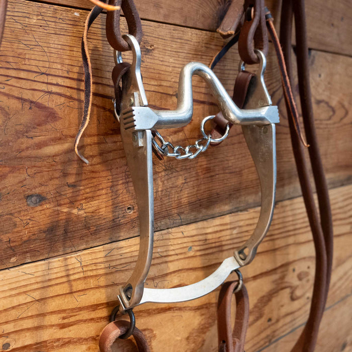 Sleister Port Bit Bridle Rig