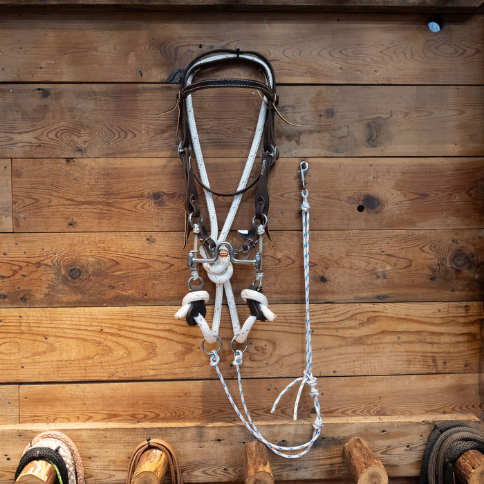 Cow Horse Supply Solid Port Gag Bridle Rig