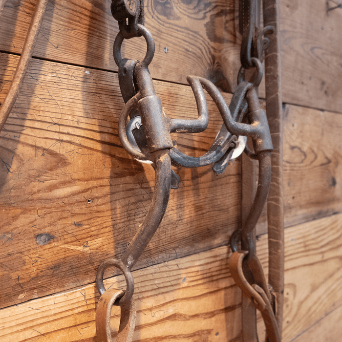 Cathedral Bit Bridle Rig