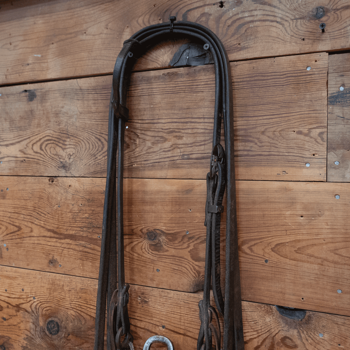 Hunt Square Port Bit Bridle Rig