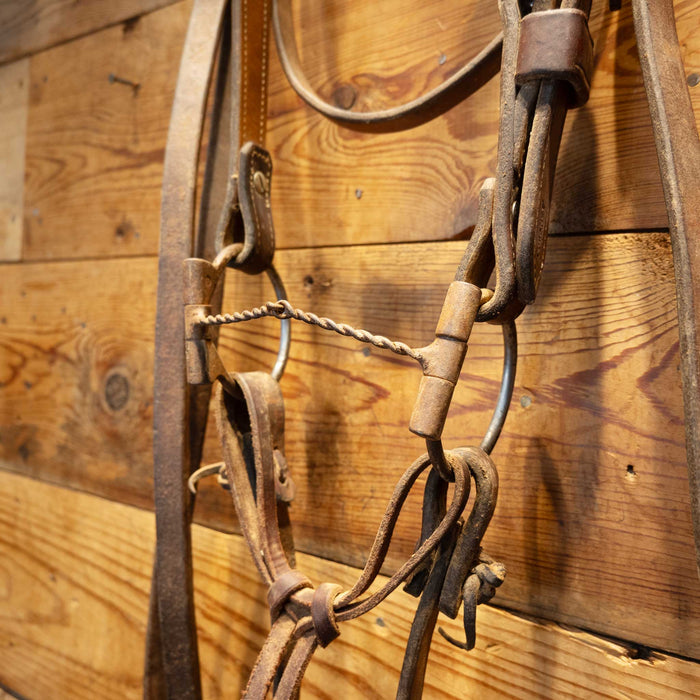 D-Ring Twisted Snaffle Bridle Rig