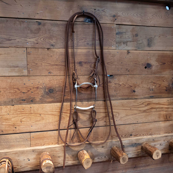 Sleister Port Bit Bridle Rig