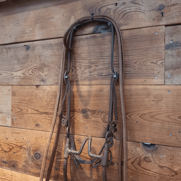 Cathedral Bit Bridle Rig