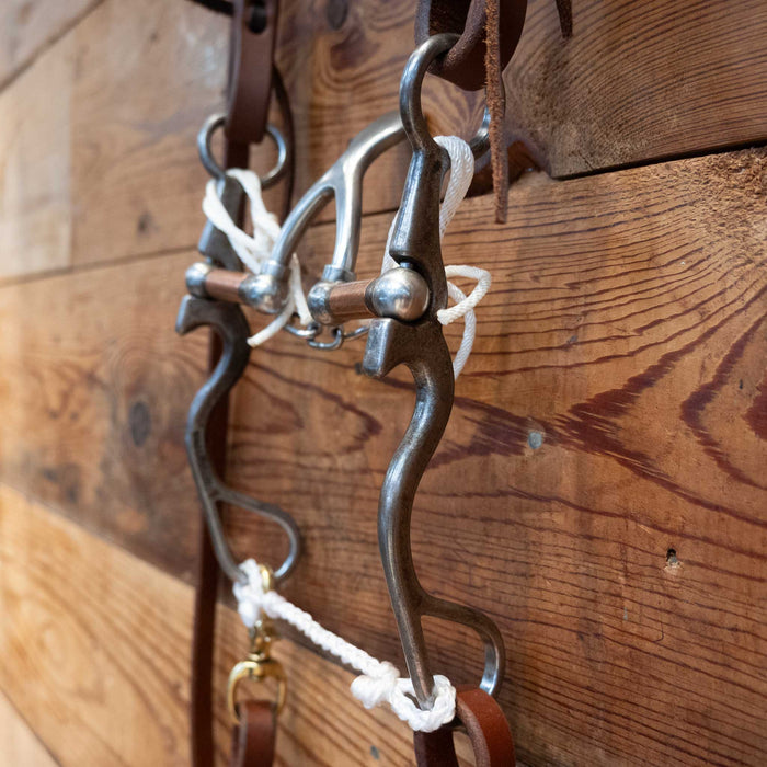 Kerry Kelley 02S Cathedral Bridle Rig