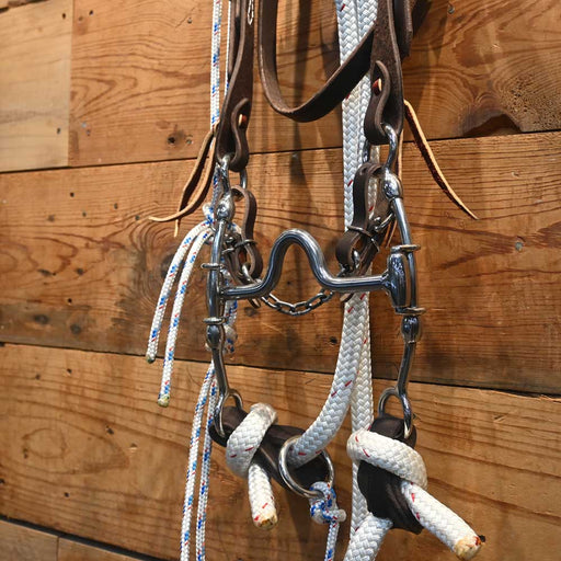 Cow Horse Supply Solid Port Gag Bridle Rig w/Martingale Tack - Training Cow Horse Supply