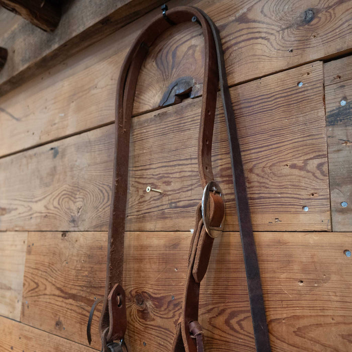 Daryl Davis Correction Bridle Rig Tack - Rigs Daryl Davis