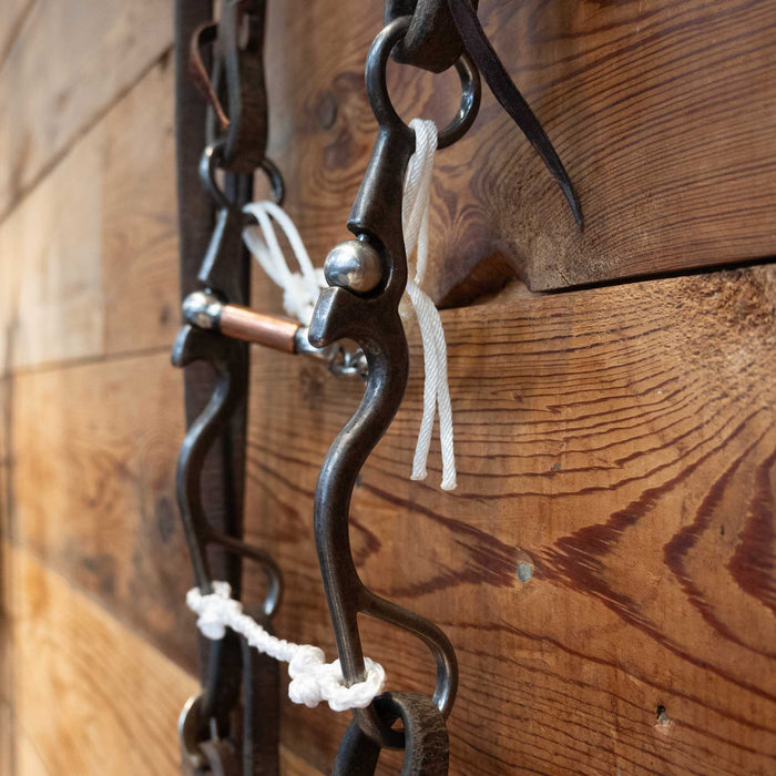Kerry Kelley 02S 10 Correction Bridle Rig