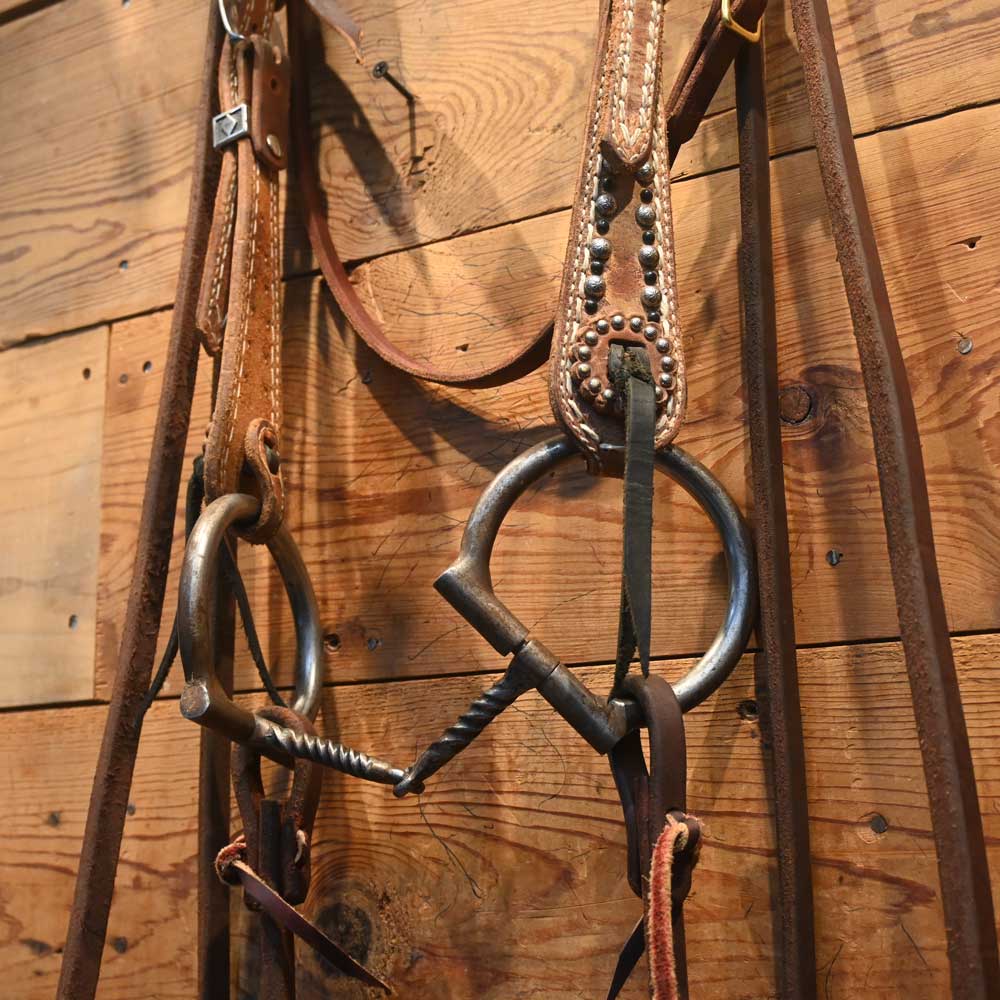 Bridle Rig - D-Ring Twisted - Bit RIG345 Tack - Rigs MISC   