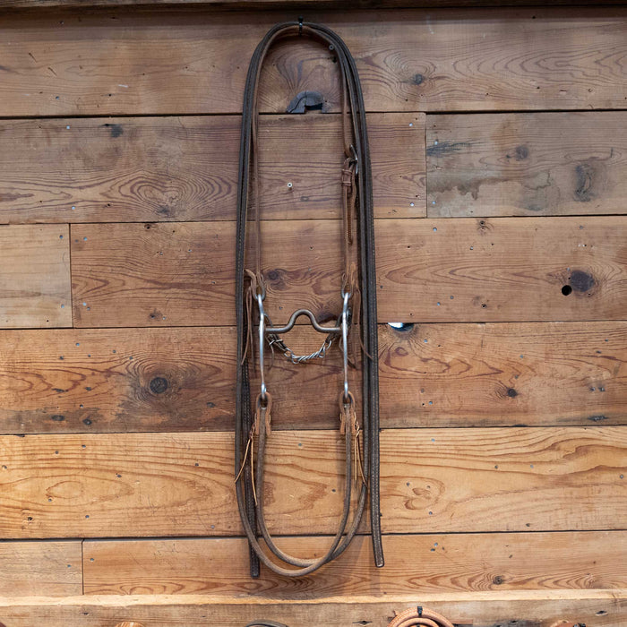 Daryl Davis Solid Port Bridle Rig