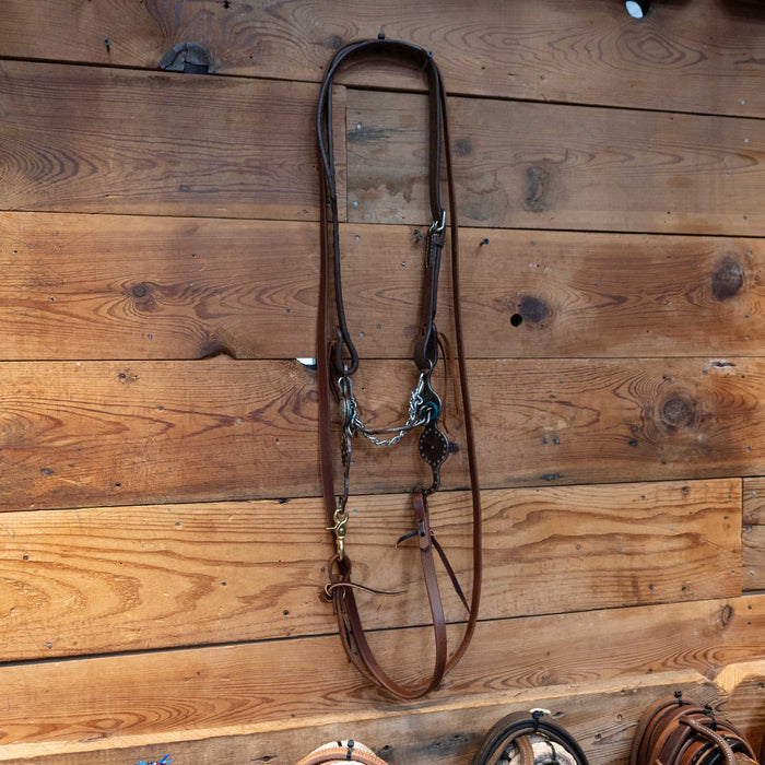 Paul Petska Ported Chain Bridle Rig