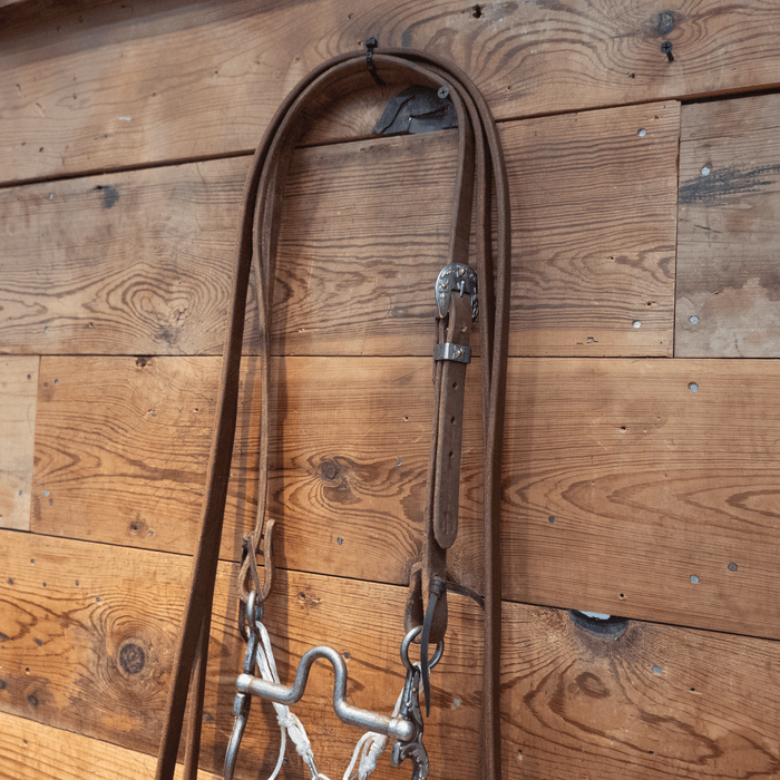 Kerry Kelley Silver Mounted Solid Port Bit Bridle Rig