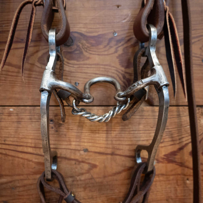 Cowboy Tack Ported Chain Bridle Rig