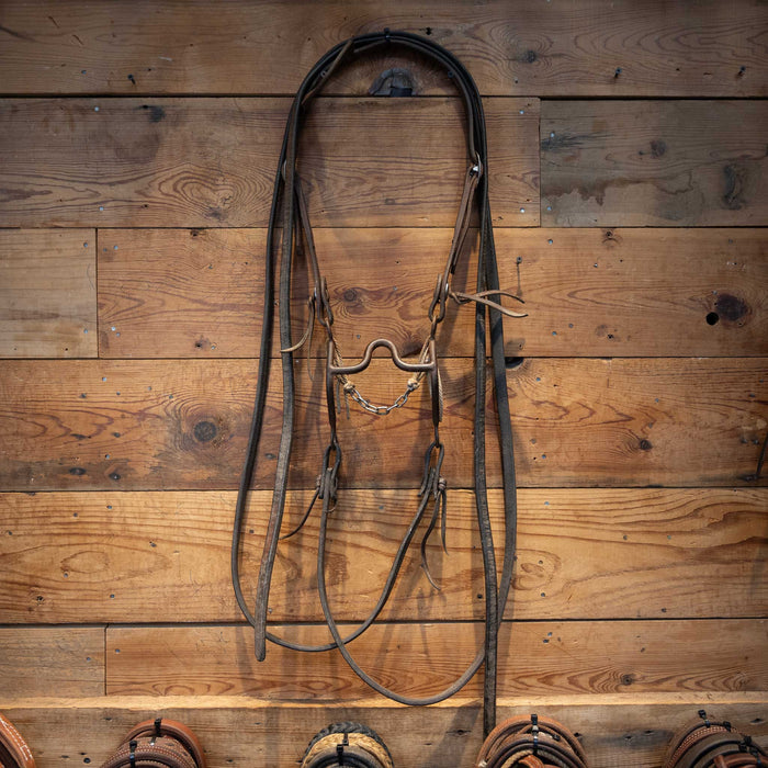 Daryl Davis Port Bridle Rig