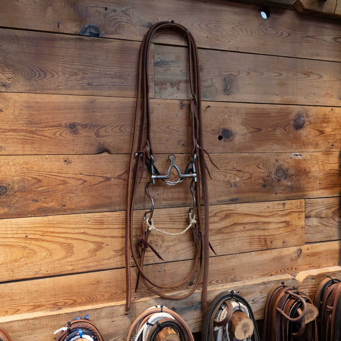 Kerry Kelley 10 Cathedral Bridle Rig