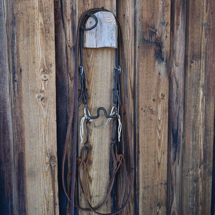Solid Port Bridle Rig w/Single Ear Headstall