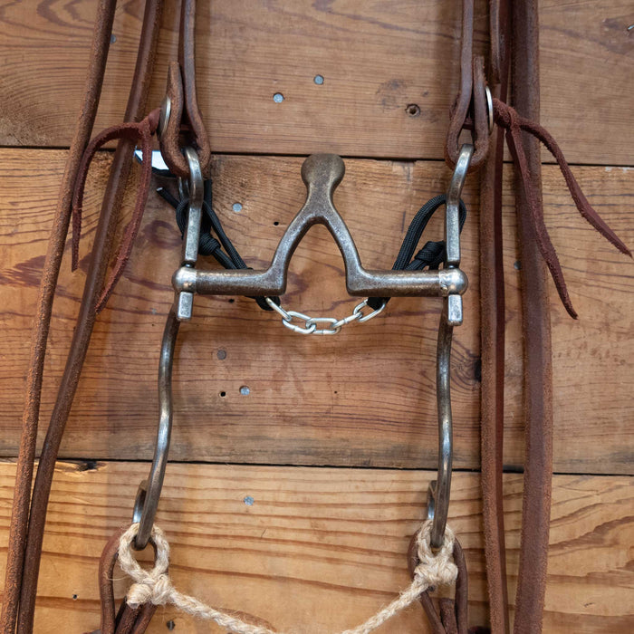 Kerry Kelley 10 Cathedral Bridle Rig
