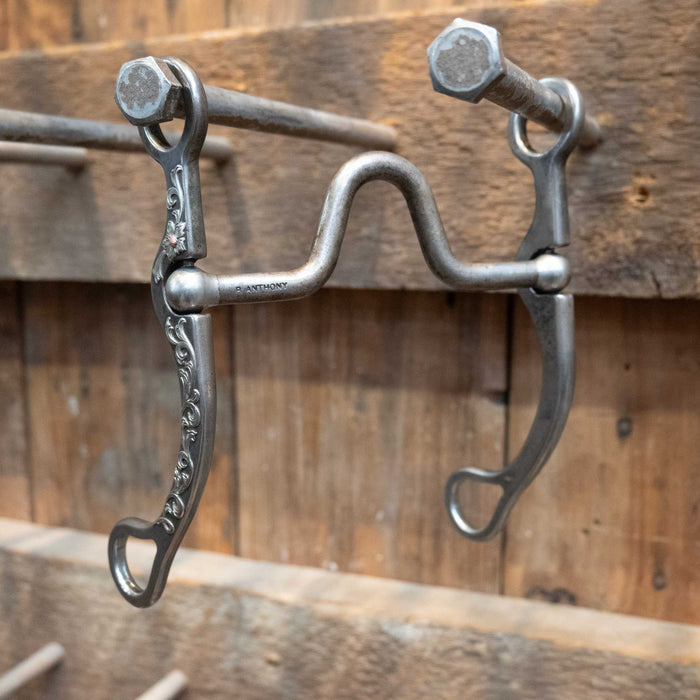 B. Anthony Solid Port Bit