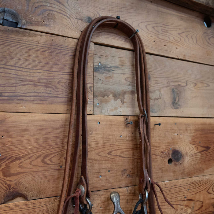 Kerry Kelley 10 Cathedral Bridle Rig