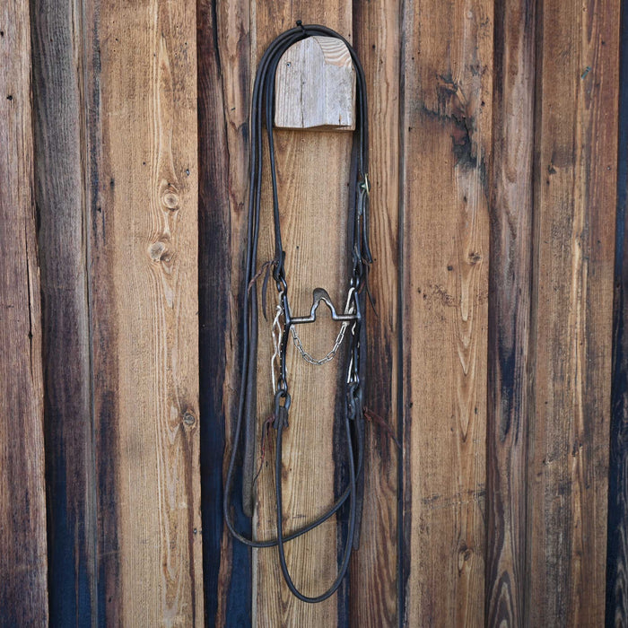 Cathedral Bridle Rig w/Split Ear Headstall