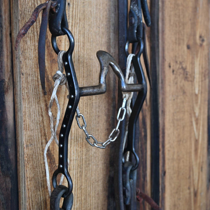 Cathedral Bridle Rig w/Split Ear Headstall