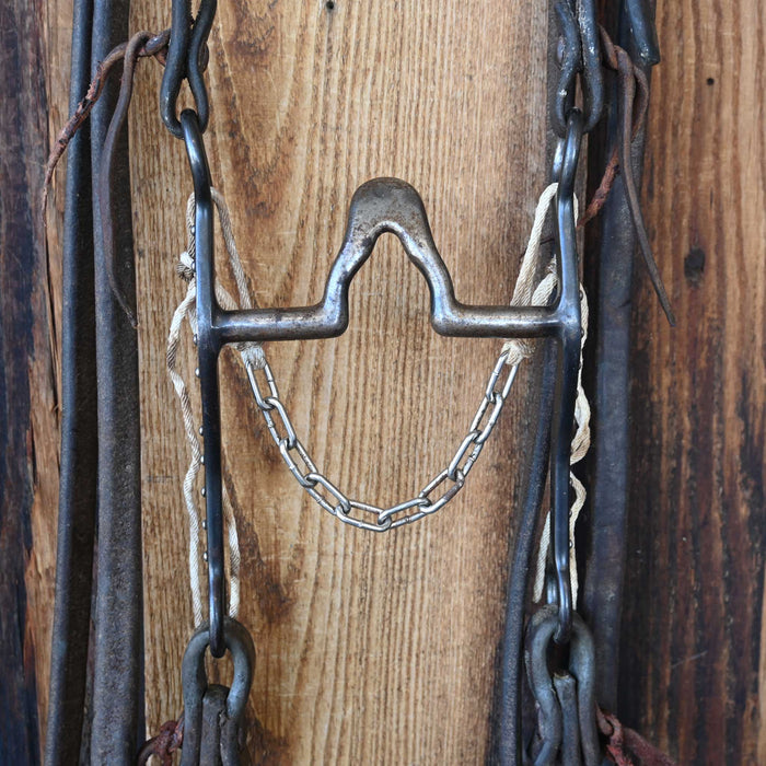 Cathedral Bridle Rig w/Split Ear Headstall