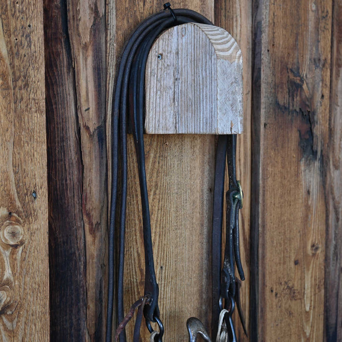 Cathedral Bridle Rig w/Split Ear Headstall