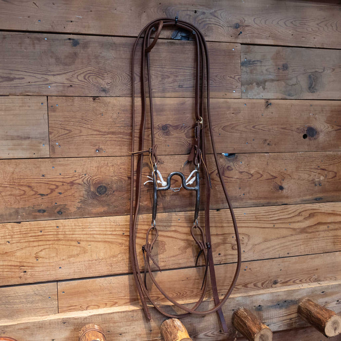 Michael Kuzio Solid Port Bit Bridle Rig