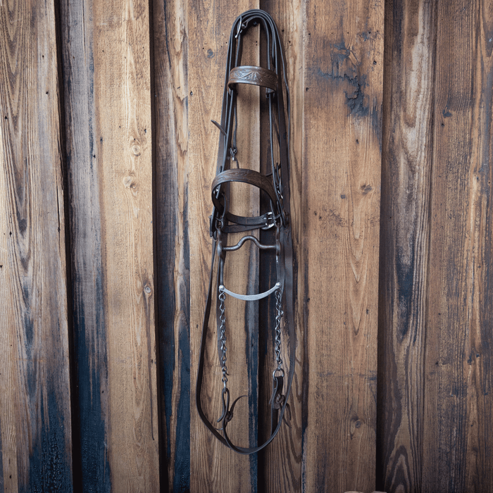 Vintage Hand Tooled Silver Crockett Bridle Rig