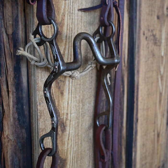 Solid Port Bridle Rig w/Single Ear Headstall