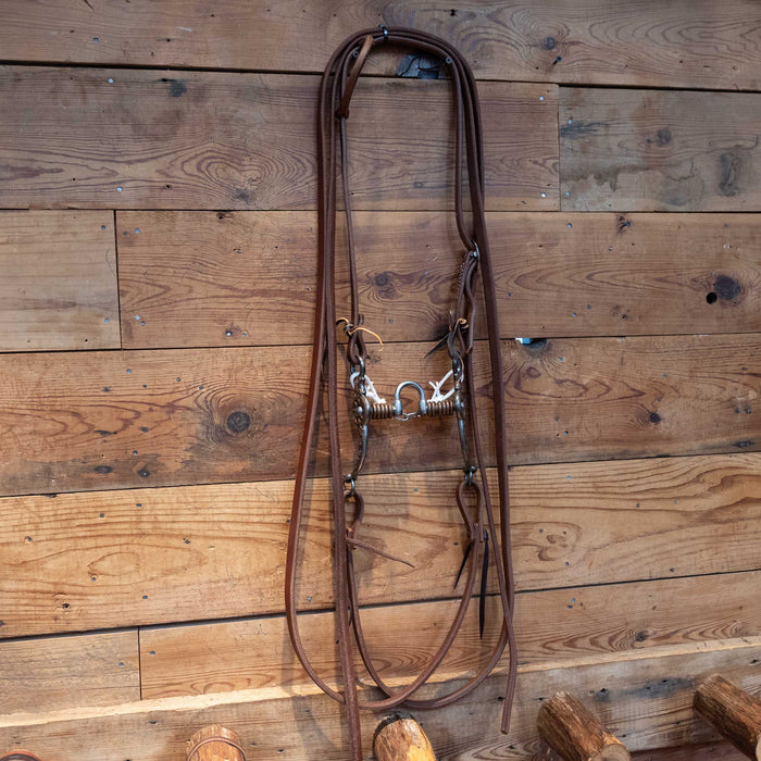 Josh Ownbey Correction Bit Bridle Rig
