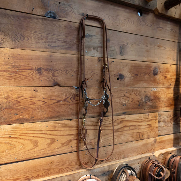 Paul Petska Mullen Bridle Rig