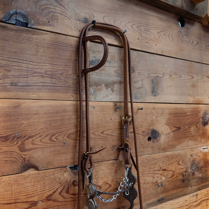 Paul Petska Mullen Bridle Rig