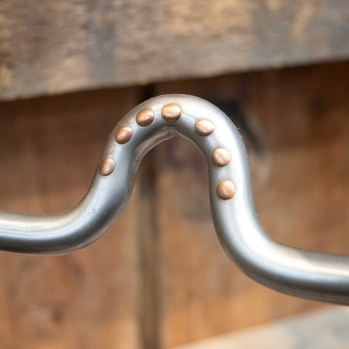 Alderson Solid Port Gag Bit