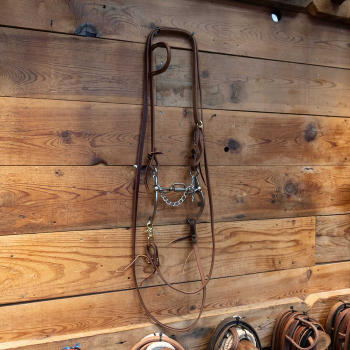 Kerry Kelley Single Ear Santo Bridle Rig
