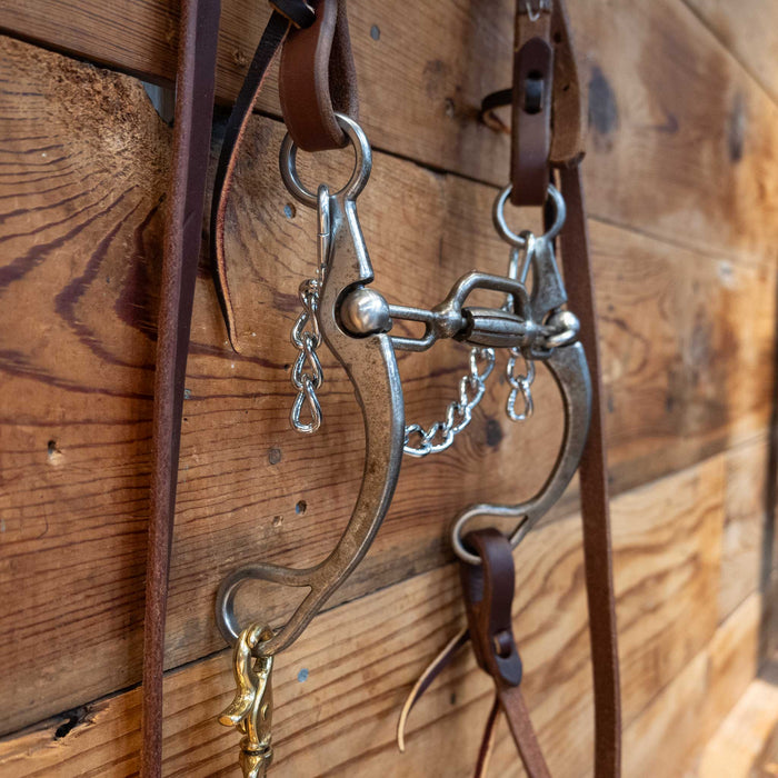 Kerry Kelley Single Ear Santo Bridle Rig