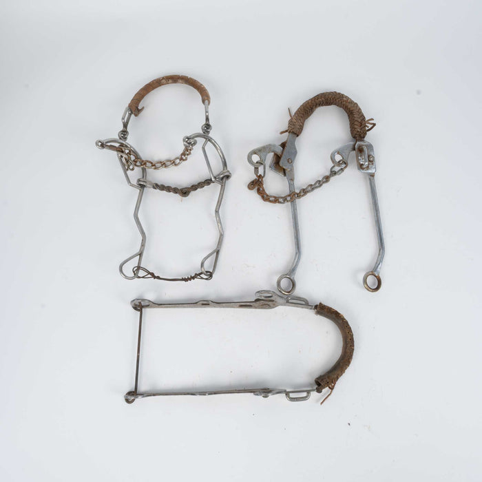 Used Assorted Mechanical Hackamore Set Of 3 Sale Barn Teskey's