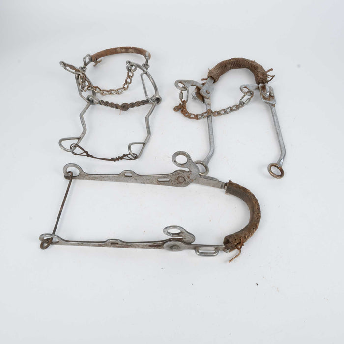 Used Assorted Mechanical Hackamore Set Of 3 Sale Barn Teskey's