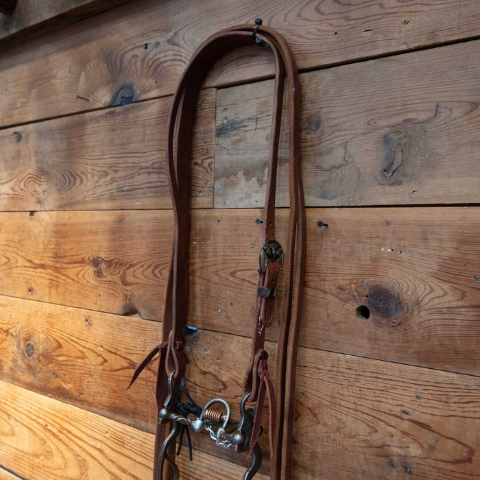 Kamphaus Silver Mounted Port Bridle Rig 1910