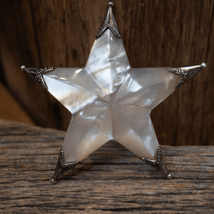 Vintage Victorian Mother of Pearl with Sterling Silver Tip - Lapel Pin